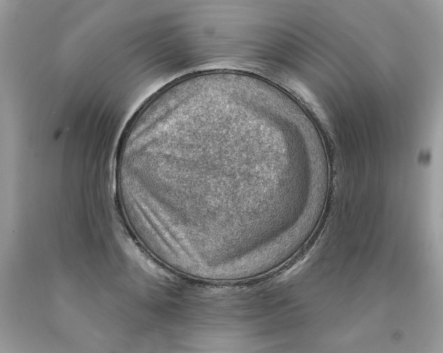 X0000091700892200709141057