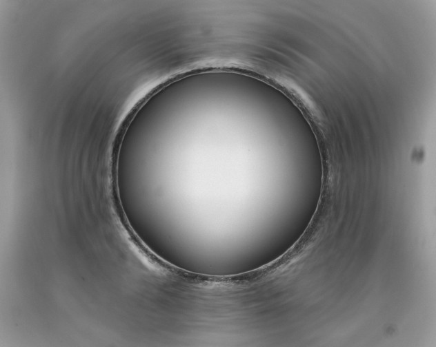 X0000091700894200709141057