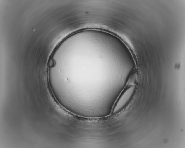 X0000091700895200709141057