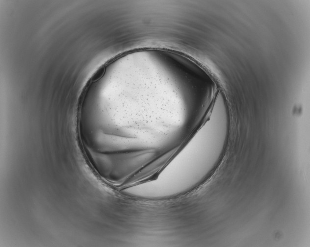 X0000091700896200709141057