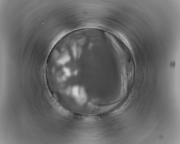 X0000091700899200709141057