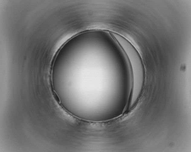 X0000091700901200709141057