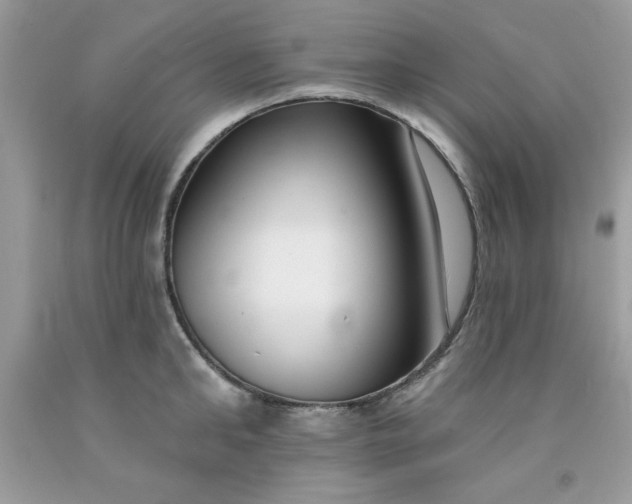 X0000091700902200709141057