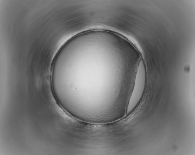 X0000091700903200709141057