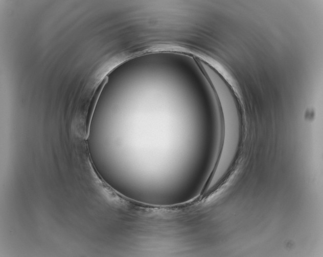 X0000091700905200709141057