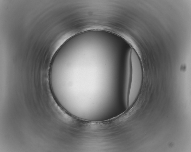 X0000091700906200709141057