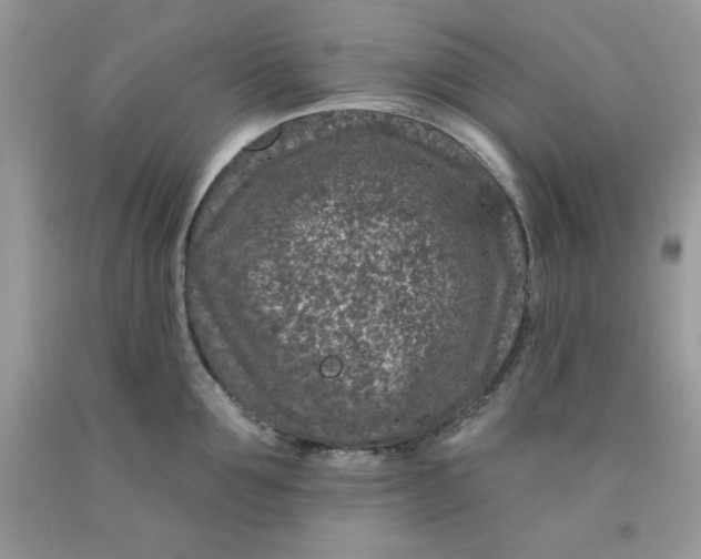 X0000091700907200709141057