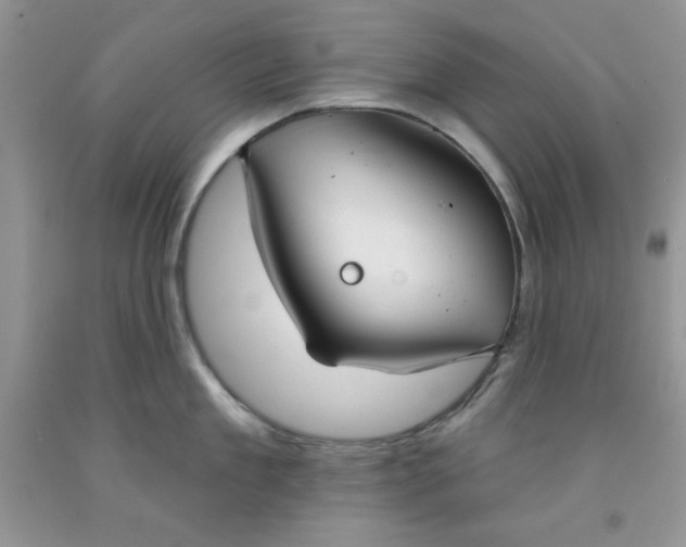 X0000091700909200709141057