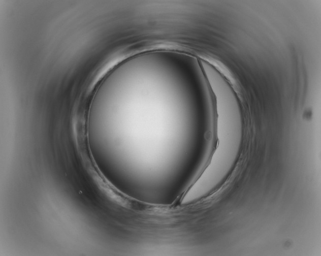 X0000091700910200709141057