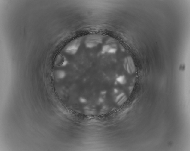 X0000091700913200709141056