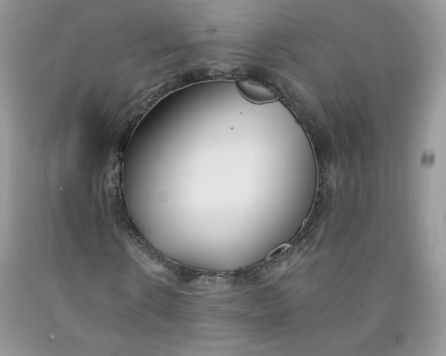 X0000091700914200709141056