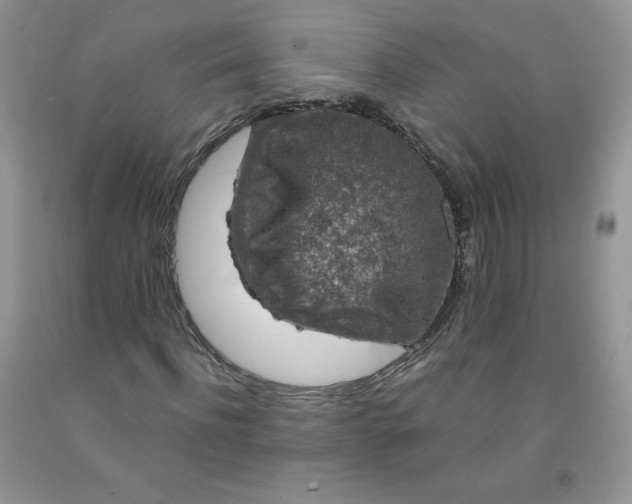 X0000091700916200709141056