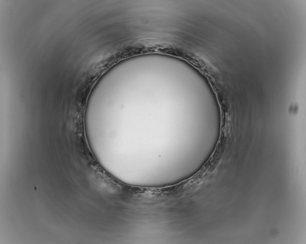 X0000091700917200709141056