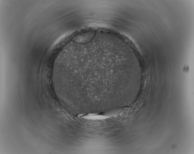 X0000091700919200709141056