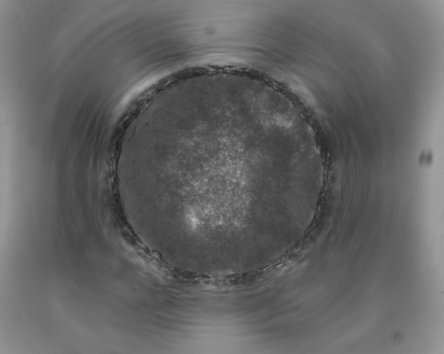 X0000091700920200709141056