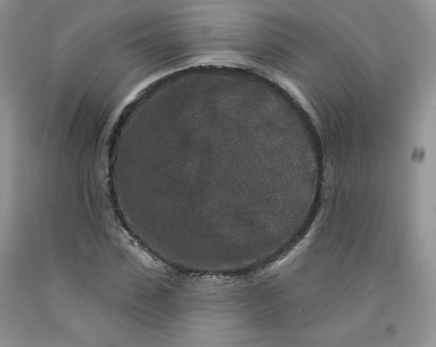 X0000091700923200709141056