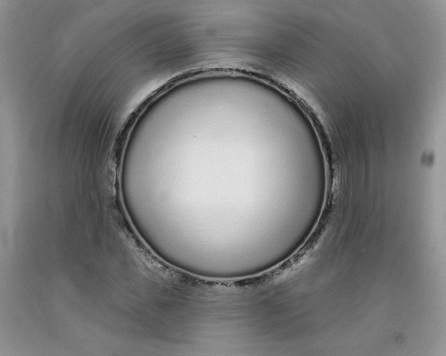 X0000091700925200709141056