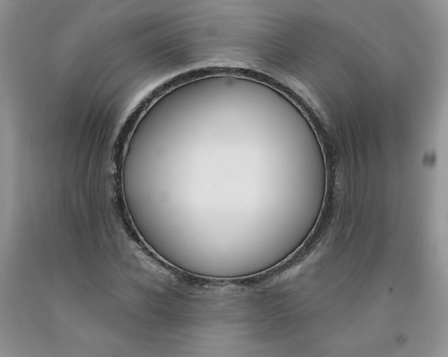 X0000091700926200709141056