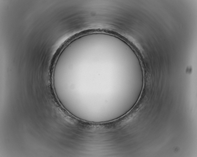 X0000091700927200709141056