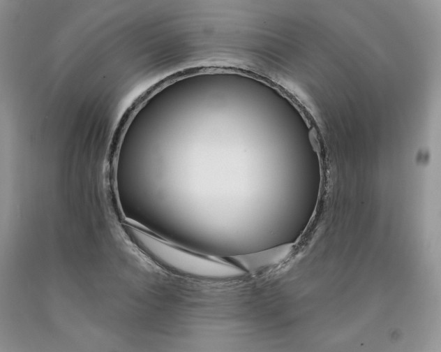 X0000091700928200709141056