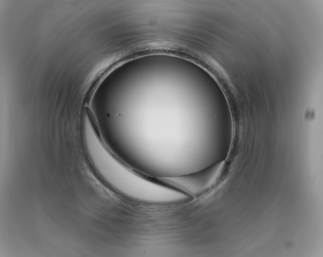 X0000091700930200709141056