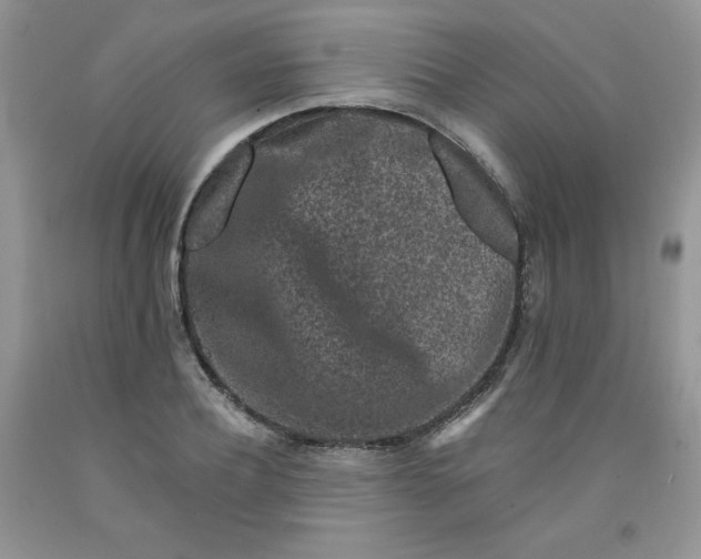 X0000091700932200709141056