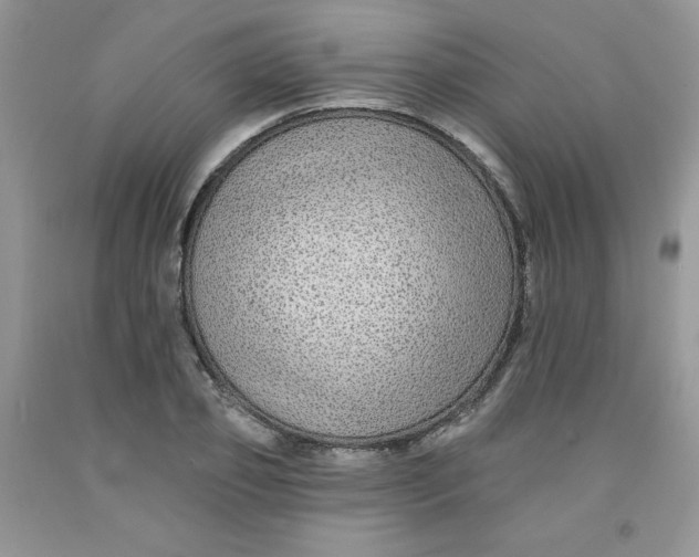 X0000091700933200709141056