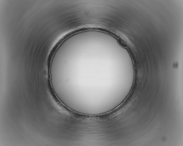 X0000091700934200709141056