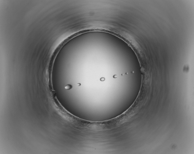 X0000091700936200709141056