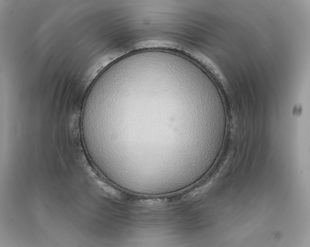 X0000091700937200709141056