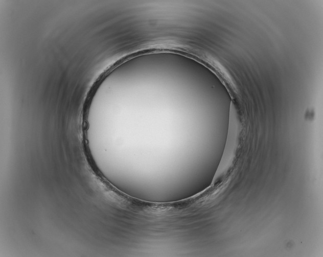 X0000091700939200709141056