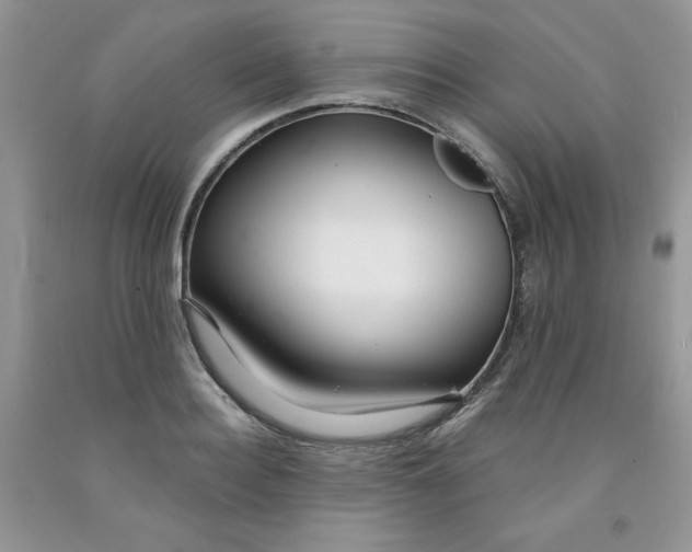 X0000091700940200709141056