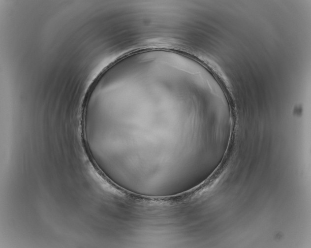 X0000091700941200709141056