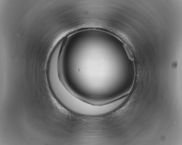 X0000091700942200709141056