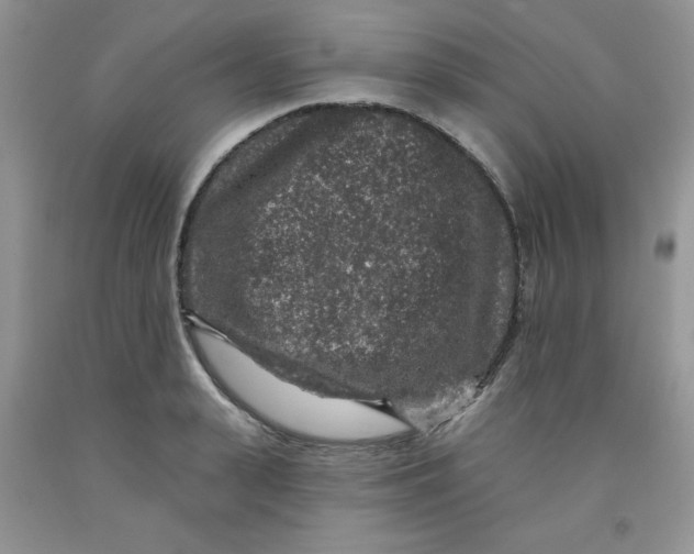 X0000091700943200709141056