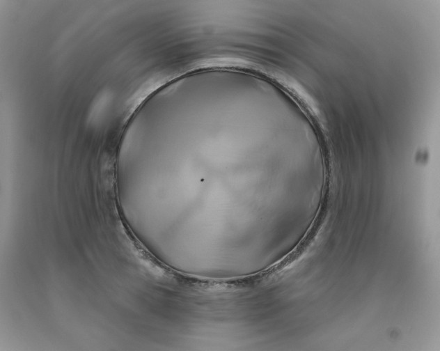 X0000091700945200709141056