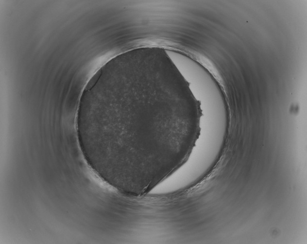 X0000091700946200709141056