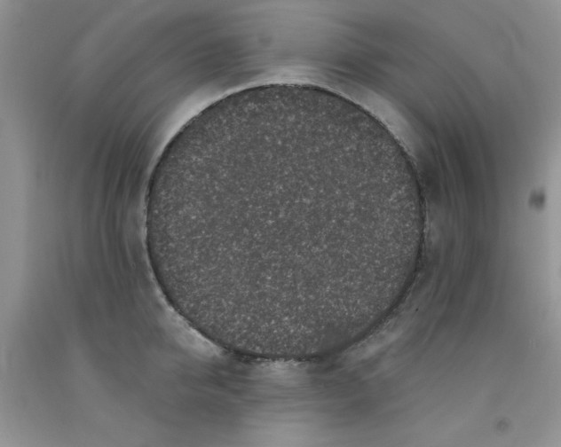 X0000091700950200709141057