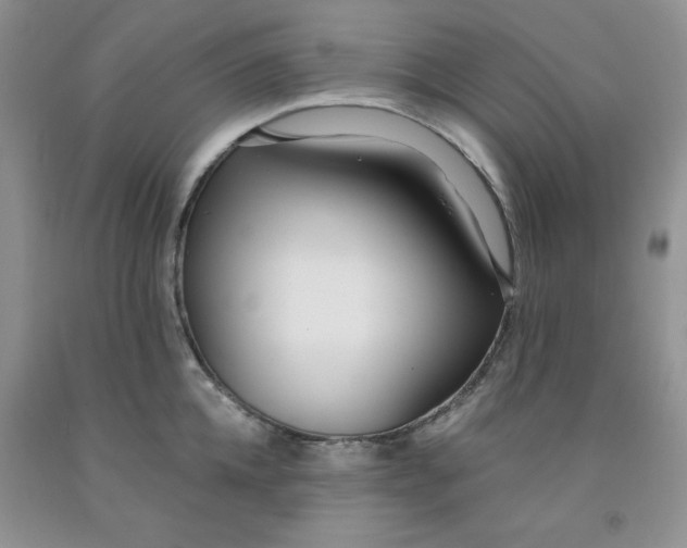 X0000091700952200709141057