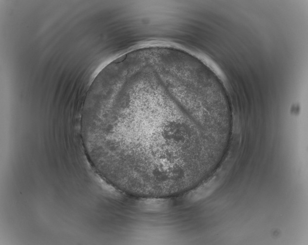 X0000091700953200709141057