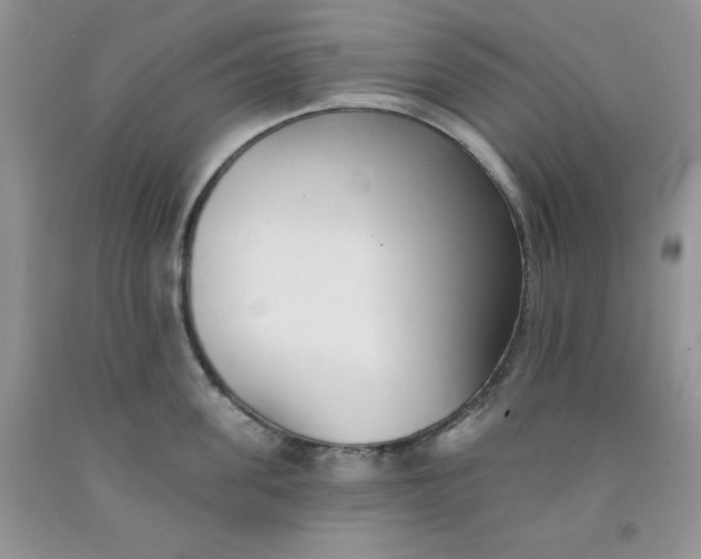 X0000091700955200709141057