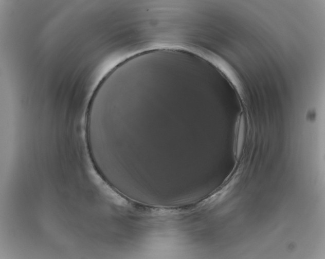 X0000091700958200709141057