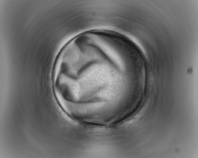 X0000091700959200709141057