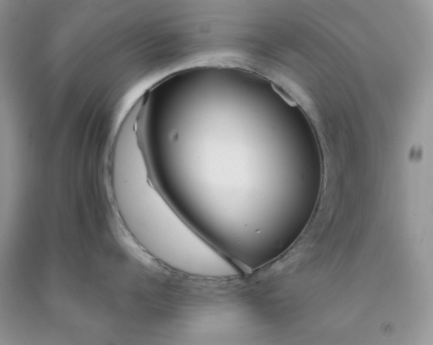 X0000091700960200709141057