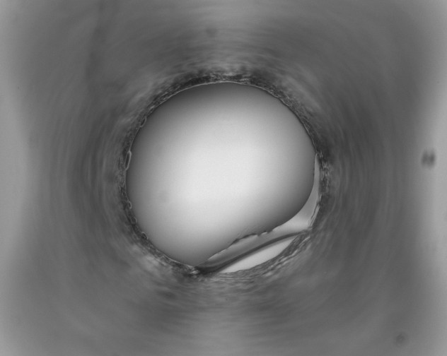 X0000091700961200709141056