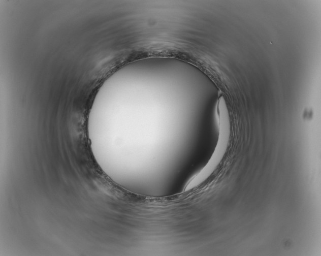 X0000091700964200709141056