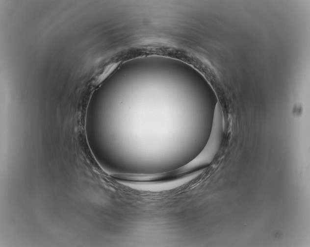 X0000091700965200709141056