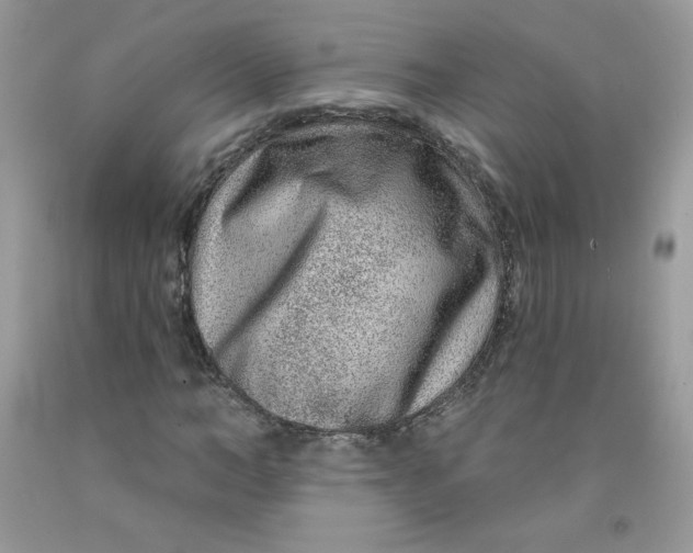 X0000091700966200709141056