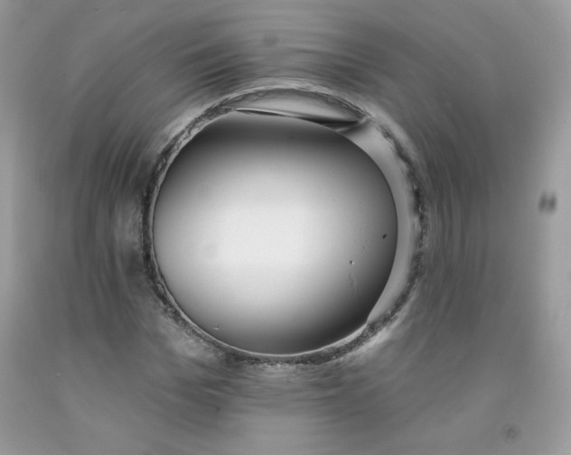 X0000091700969200709141056