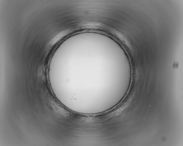 X0000091700970200709141056